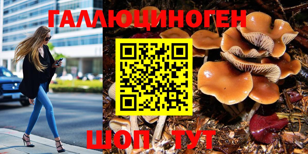 Галлюциногенные грибы GOLDEN TEACHER Карпинск