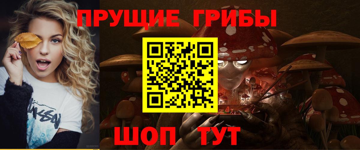 наркота  Псилоцибиновые грибы прущие грибы  Вход с VPN  Карпинск 